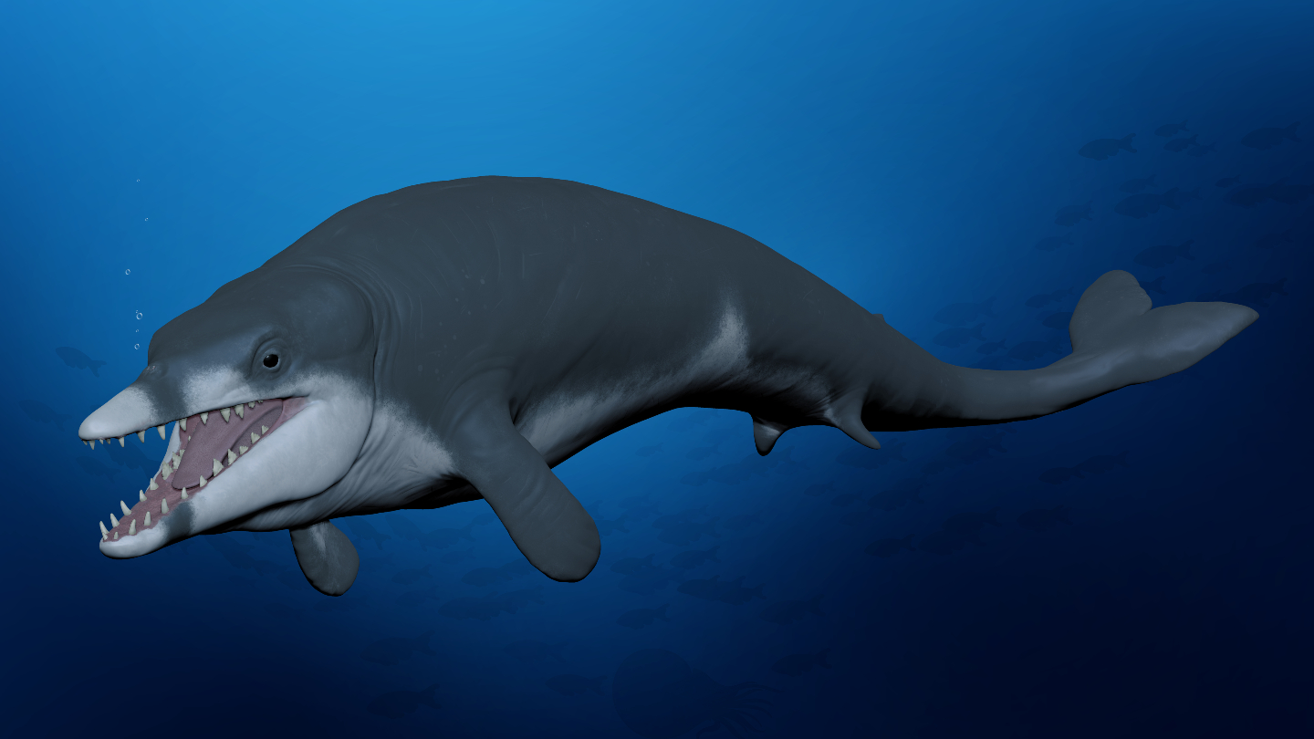 Introducing King Tut, the Ancient Whale of Miniature Proportions