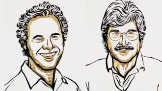 A sketch of 2024 Nobel prize winners Victor Ambros and Gary Ruvkun.