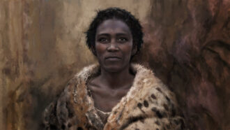 an illustration of an ancient Homo sapiens woman. She is dark-skinned and appears draped with an animal pelt.